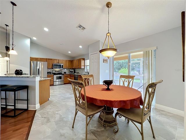 1123 LAKEVIEW OAKS DRIVE, Minneola, FL 34715