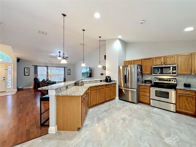 1123 LAKEVIEW OAKS DRIVE, Minneola, FL 34715