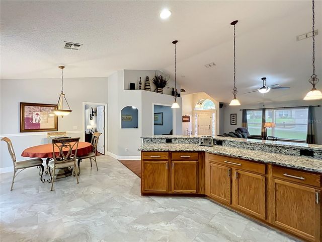 1123 LAKEVIEW OAKS DRIVE, Minneola, FL 34715