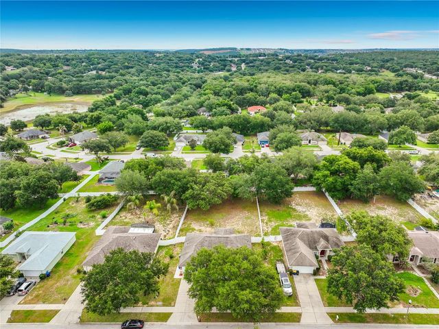 1123 LAKEVIEW OAKS DRIVE, Minneola, FL 34715
