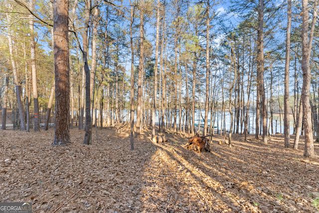 287 Spring Branch Circle, Toccoa, GA 30577