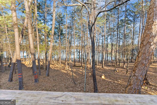 287 Spring Branch Circle, Toccoa, GA 30577