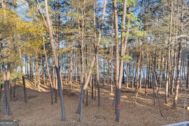 287 Spring Branch Circle, Toccoa, GA 30577