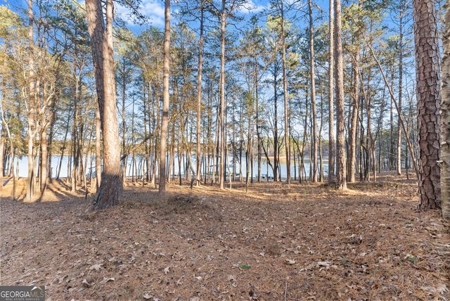 287 Spring Branch Circle, Toccoa, GA 30577