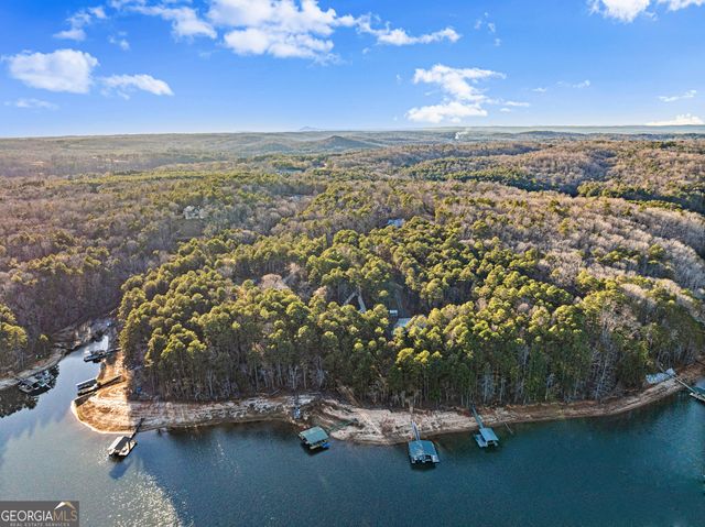 287 Spring Branch Circle, Toccoa, GA 30577