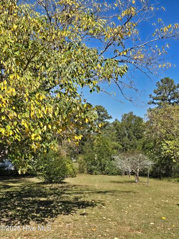 607 E 9th Street, Scotland Neck, NC 27874