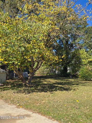 607 E 9th Street, Scotland Neck, NC 27874