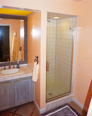 1859 MAZO MANOR U6, Lutz, FL 33558