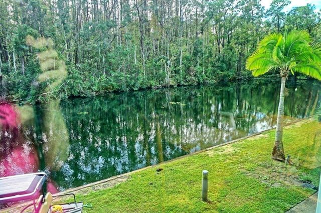 1859 MAZO MANOR U6, Lutz, FL 33558