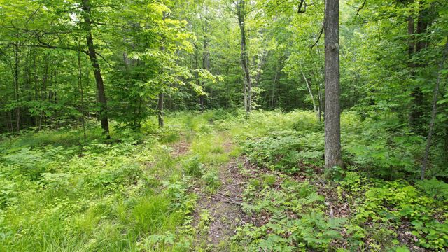 Parcel D Ticonderoga Trail, Hackensack, MN 56452