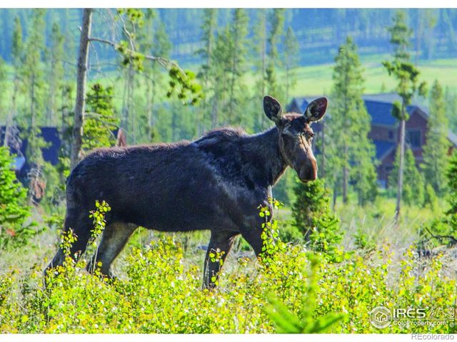 1630 Continental Peaks Circle, Estes Park, CO 80517
