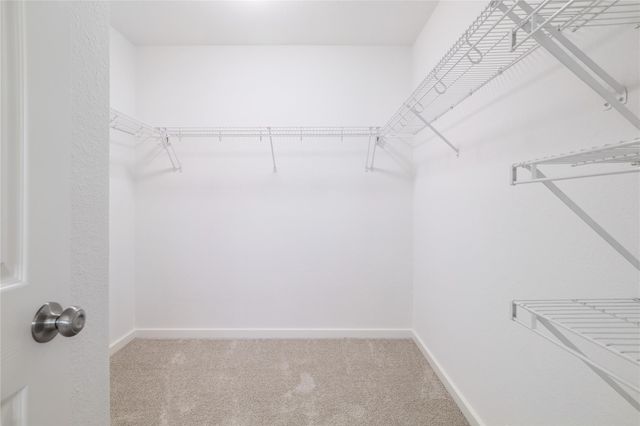 2544 Cora CV, Round Rock, TX 78664