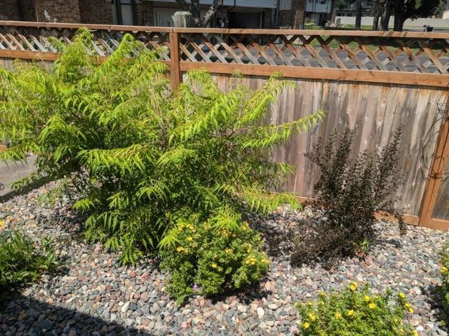 420 Village Court, Cambridge, MN 55008