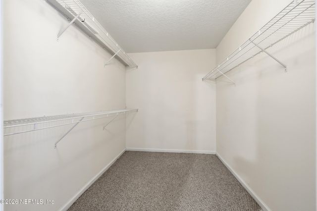 753 HAZELMOOR Lane, Ponte Vedra, FL 32081