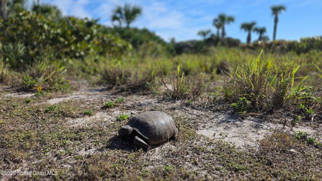 604 Shorewood Drive B503, Cape Canaveral, FL 32920