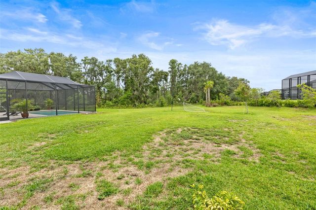 3541 GREAT BANYAN WAY, Wesley Chapel, FL 33543