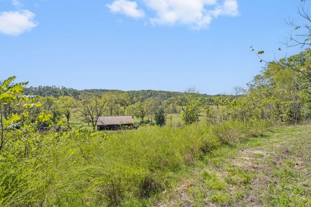 Tract 1 W Hicks Road, Nixa, MO 65714