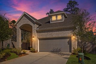 221 Mccrea Court, Montgomery, TX 77316