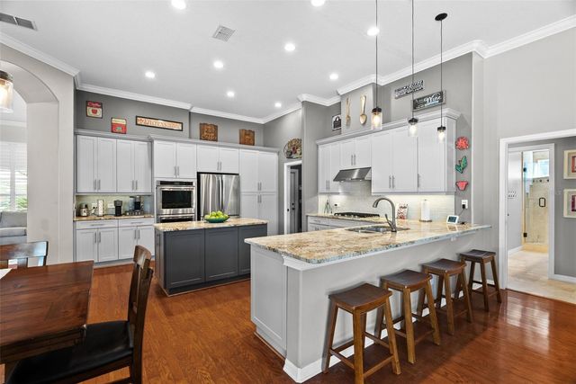 21300 SKY VISTA DRIVE, Land O Lakes, FL 34637