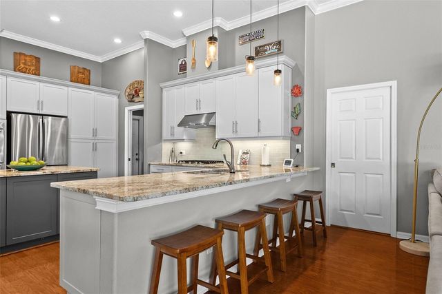 21300 SKY VISTA DRIVE, Land O Lakes, FL 34637