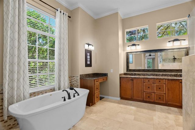 21300 SKY VISTA DRIVE, Land O Lakes, FL 34637