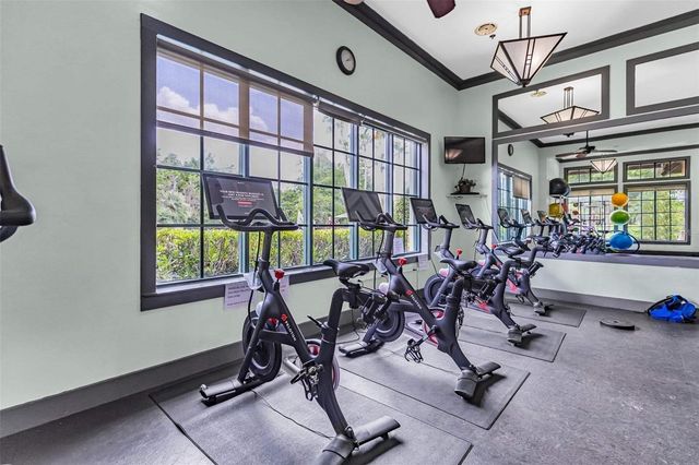 21300 SKY VISTA DRIVE, Land O Lakes, FL 34637