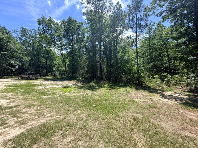 612 Edisto Lake Road, Wagener, SC 29164