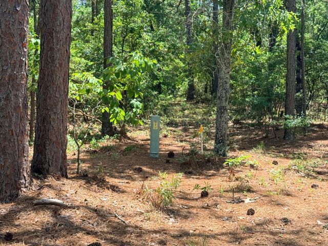 612 Edisto Lake Road, Wagener, SC 29164