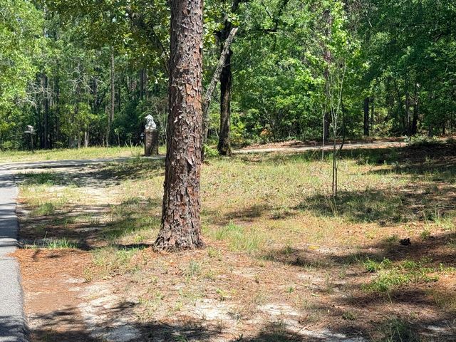 612 Edisto Lake Road, Wagener, SC 29164