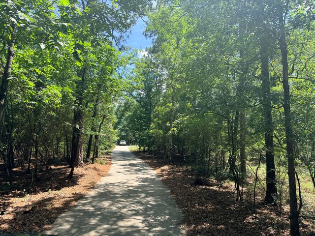 612 Edisto Lake Road, Wagener, SC 29164