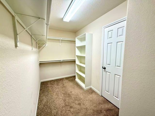 24410 Bludana Lane, Richmond, TX 77406