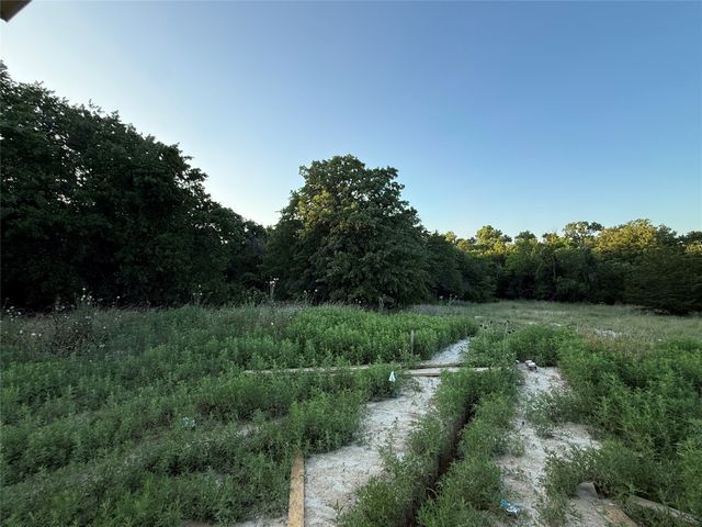 281 Zebrastone Way, Poolville, TX 76487