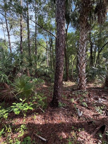 1340 JAYCE CT, Geneva, FL 32732