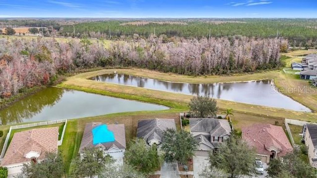 10918 ANCIENT FUTURES DRIVE, Tampa, FL 33647