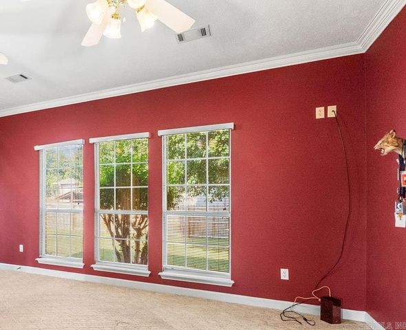 1325 Clarence Drive, Conway, AR 72034