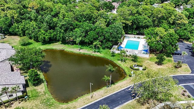 10 LESLEY LANE, Oldsmar, FL 34677