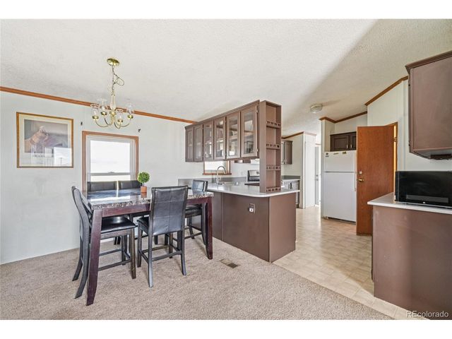 265 Trout Rd, Fairplay, CO 80440