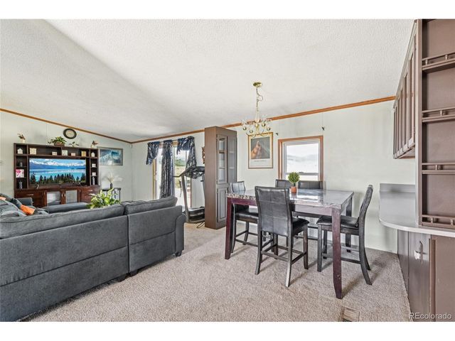 265 Trout Rd, Fairplay, CO 80440