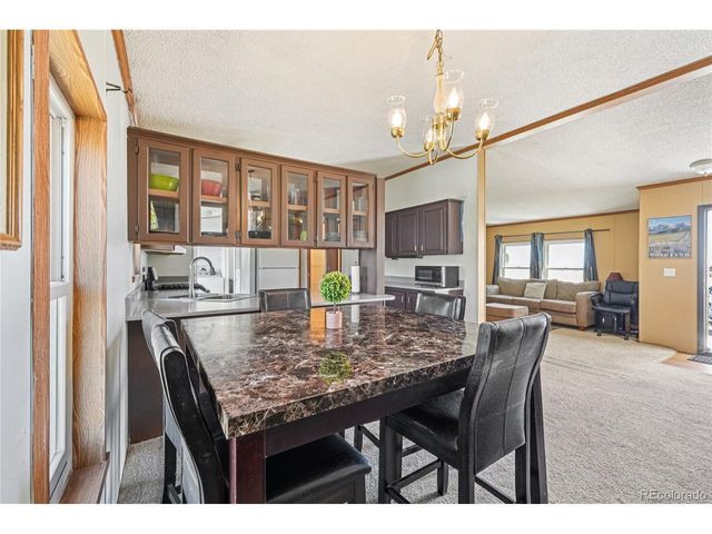 265 Trout Rd, Fairplay, CO 80440