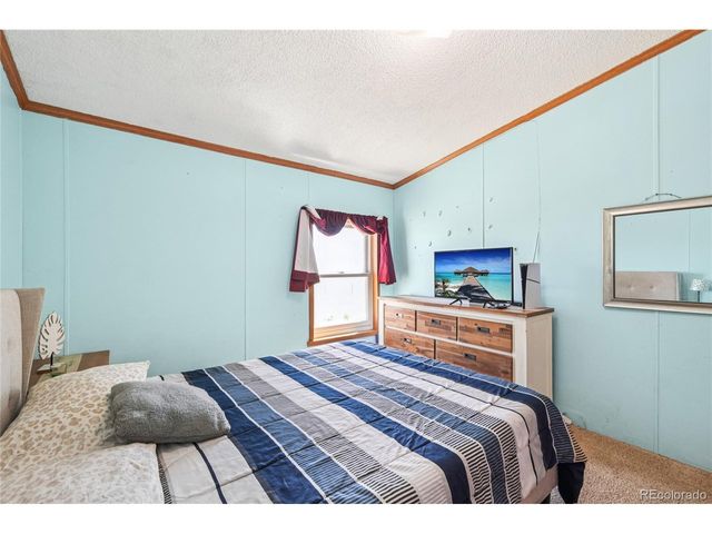 265 Trout Rd, Fairplay, CO 80440