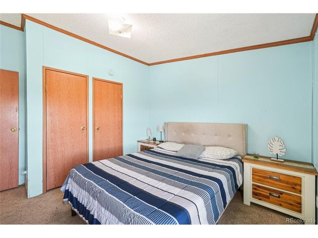 265 Trout Rd, Fairplay, CO 80440