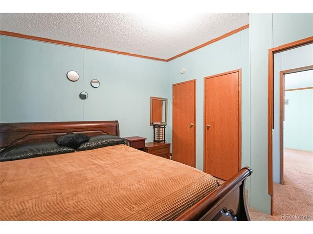 265 Trout Rd, Fairplay, CO 80440