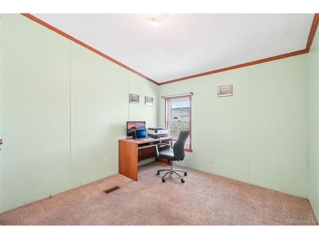 265 Trout Rd, Fairplay, CO 80440