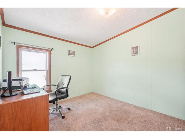 265 Trout Rd, Fairplay, CO 80440