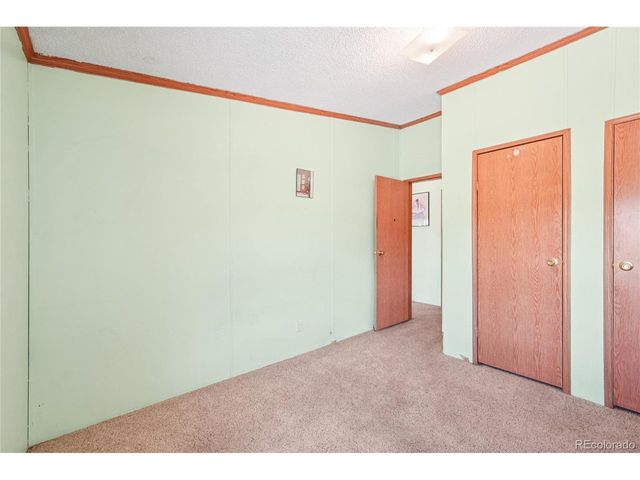 265 Trout Rd, Fairplay, CO 80440