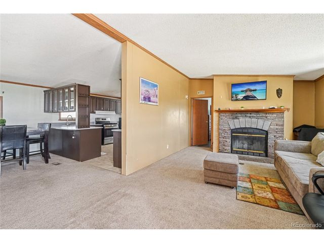 265 Trout Rd, Fairplay, CO 80440