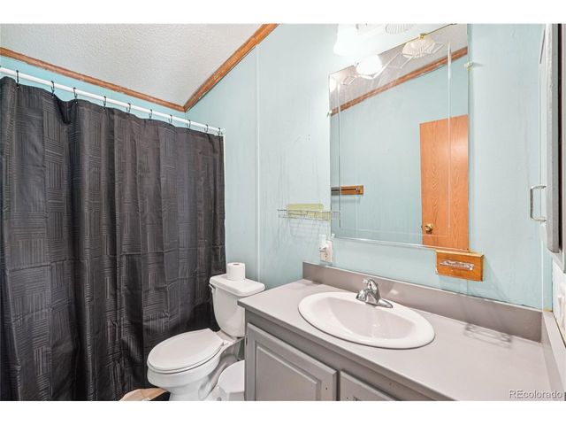 265 Trout Rd, Fairplay, CO 80440