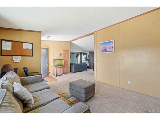 265 Trout Rd, Fairplay, CO 80440