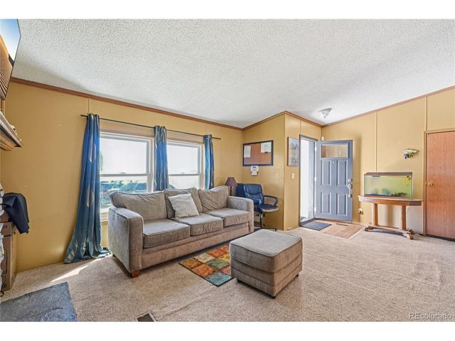 265 Trout Rd, Fairplay, CO 80440