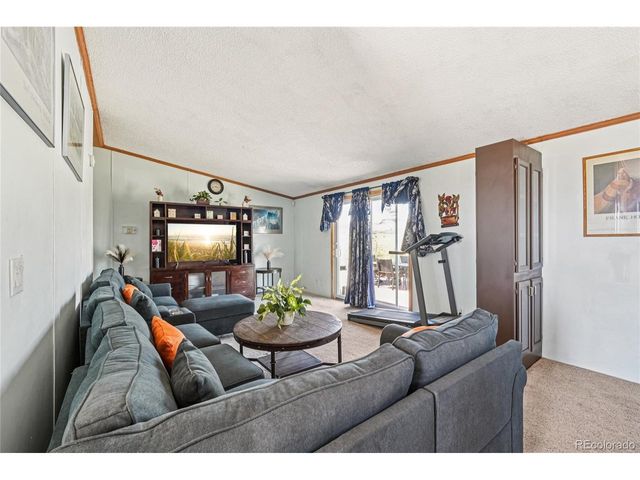 265 Trout Rd, Fairplay, CO 80440